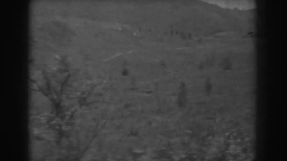 1938 West Virginia 8mm frame with a wooded hillside, bare foreground trees, and hazy ridgelines in soft focus.