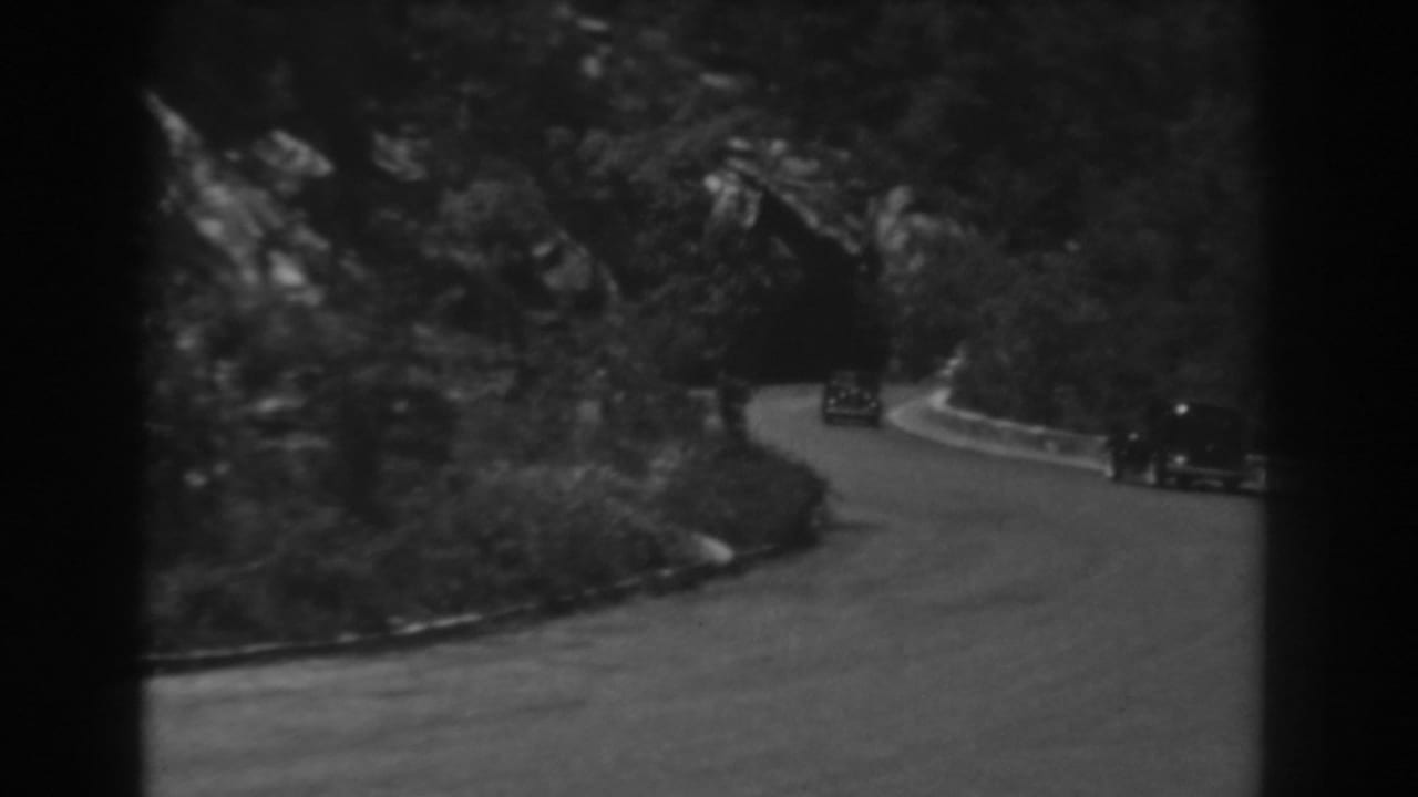 Curving road bordered by dense trees with small dark cars in the distance.