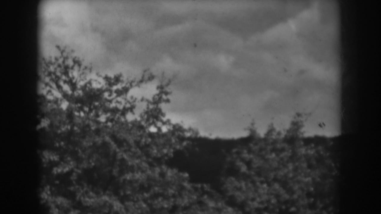 Dark clouds above a wooded ridge and leafy treeline in soft black-and-white 8mm footage.