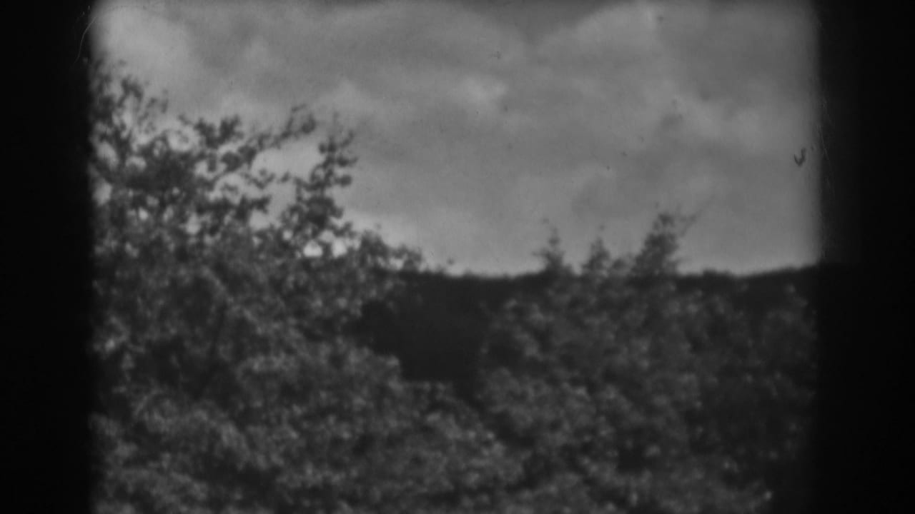 1938 Winchester, Maryland frame with dark clouds over dense woods, seen through rounded 8mm frame edges.