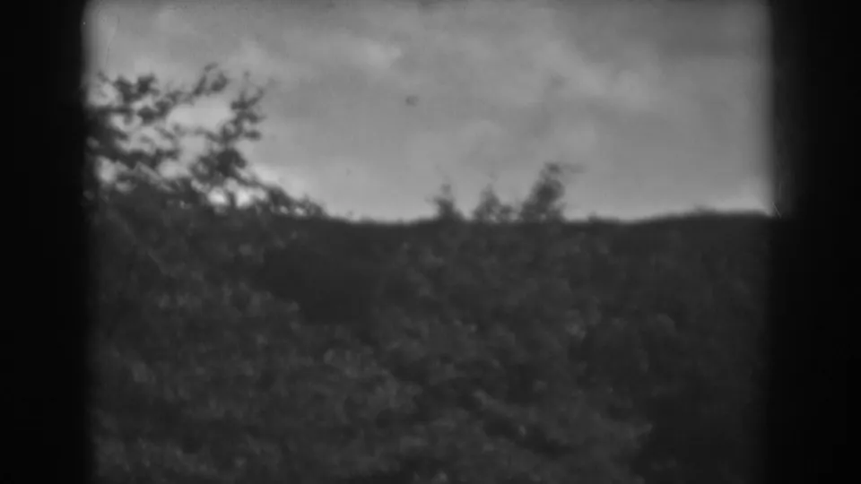 1938 Winchester, Maryland home-movie view of a low wooded ridge beneath a heavy overcast sky.