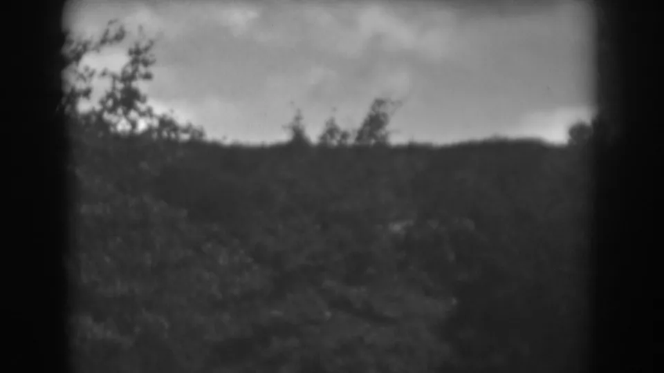 1938 Winchester, Maryland frame showing trees and a wooded hillside under a brooding overcast sky.