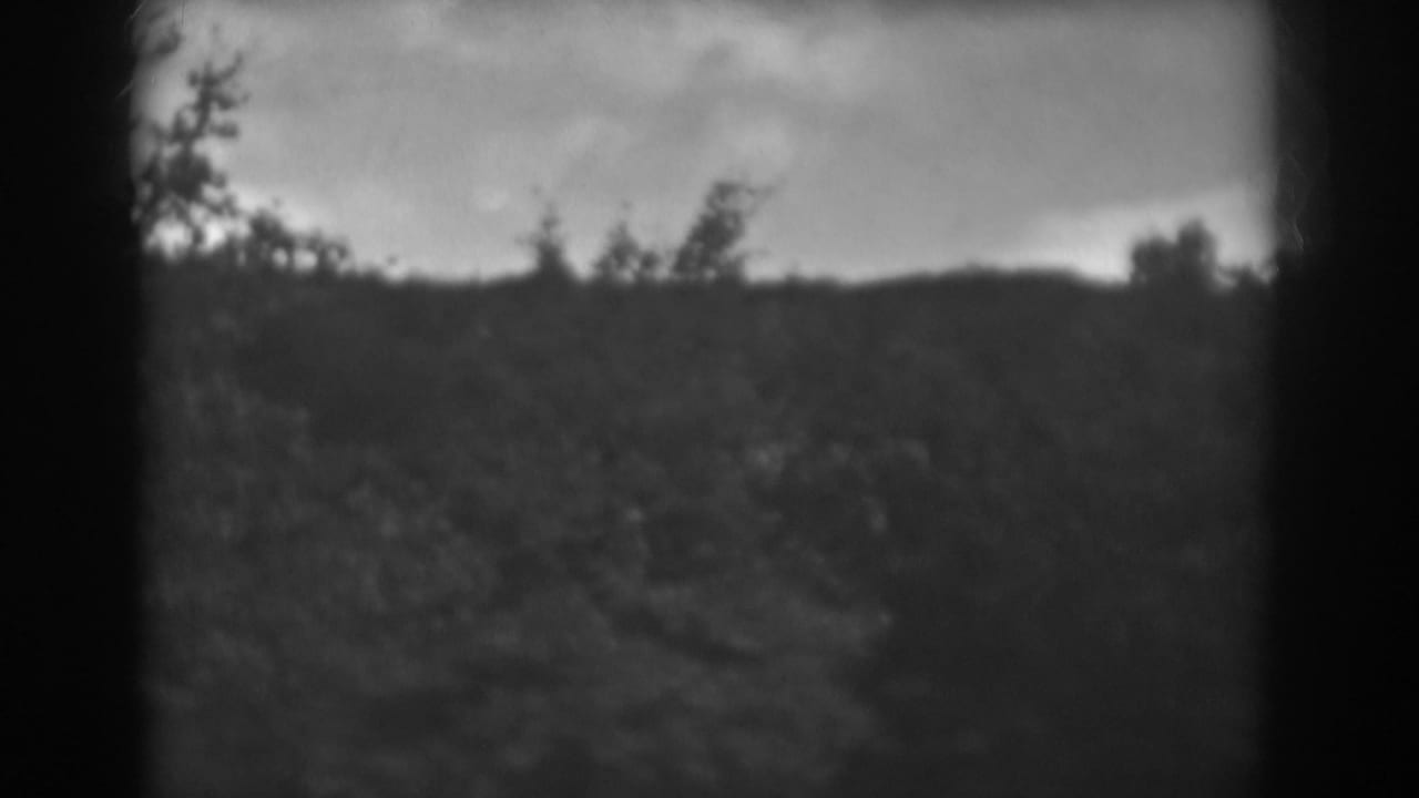 Soft black-and-white view of a treeline and low ridge beneath a cloudy sky.