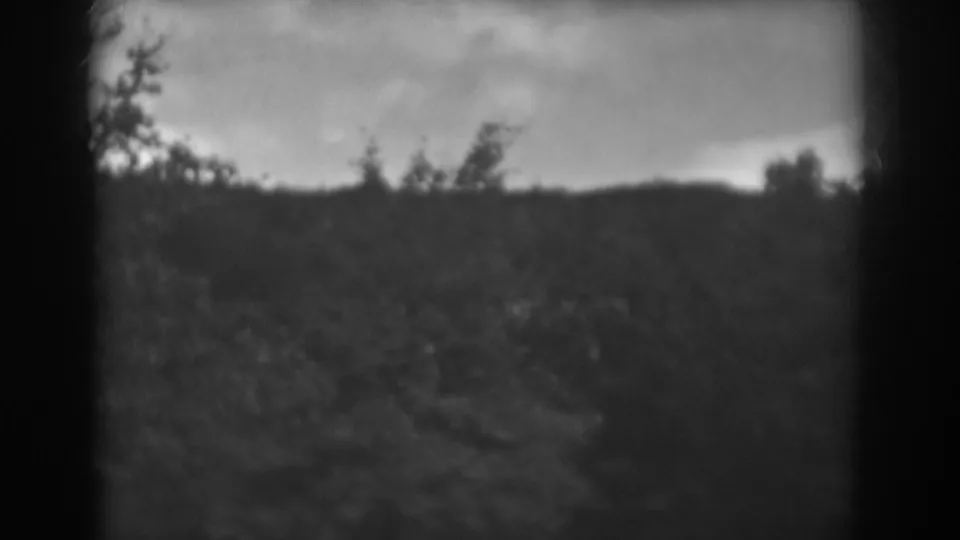 1938 Winchester, Maryland home-movie frame showing dark trees and a distant low ridge under an overcast sky.