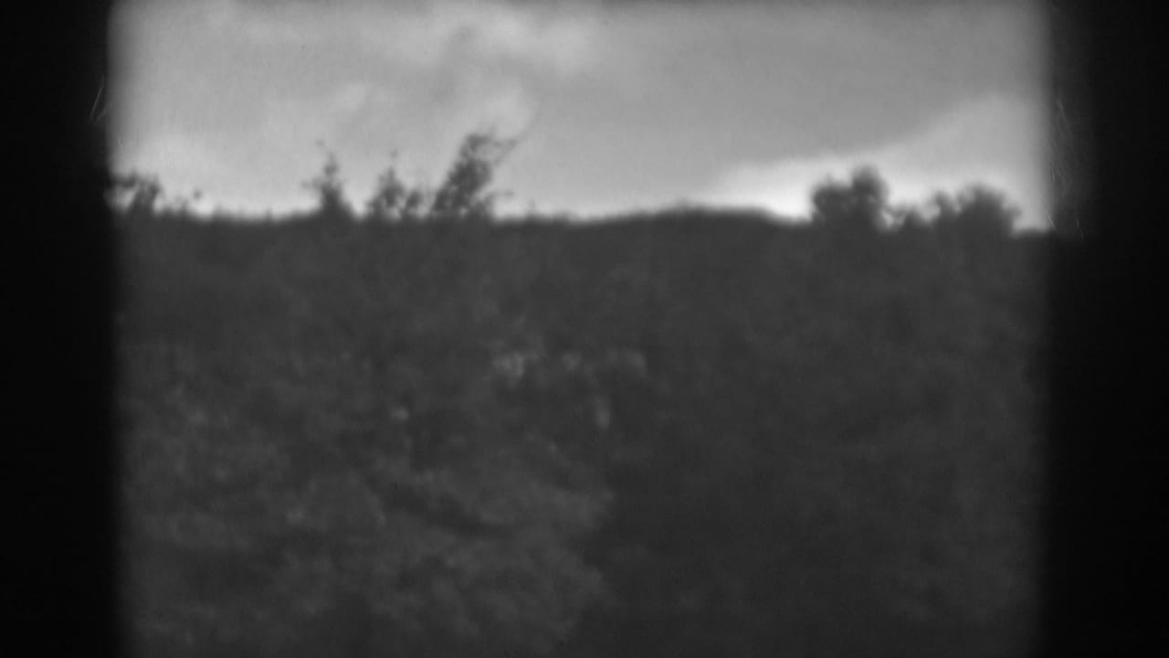 Dark treetops and a low hill sit below a bright band of cloudy sky.