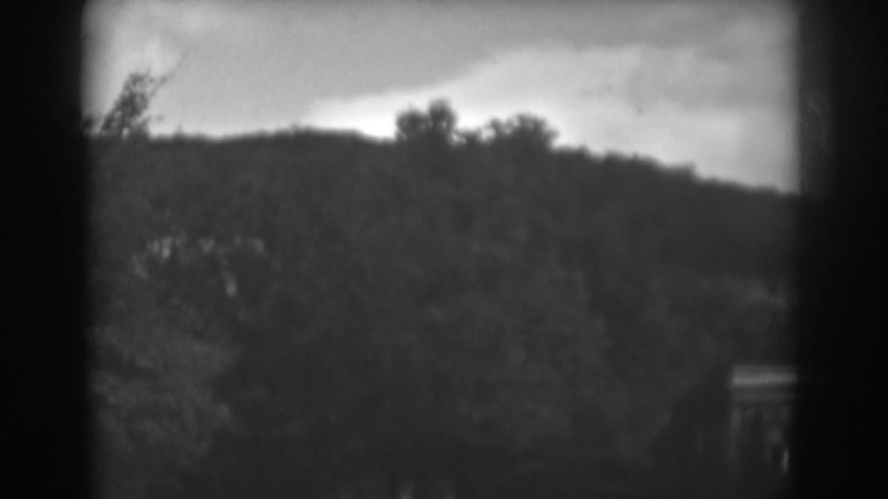 Soft black-and-white view of a wooded hillside under an overcast sky.