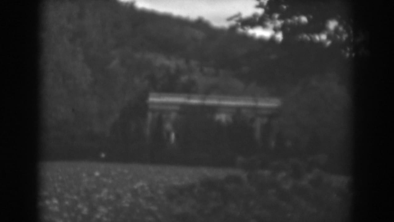 Small weathered structure partly hidden by trees and grass in a hilly rural setting.