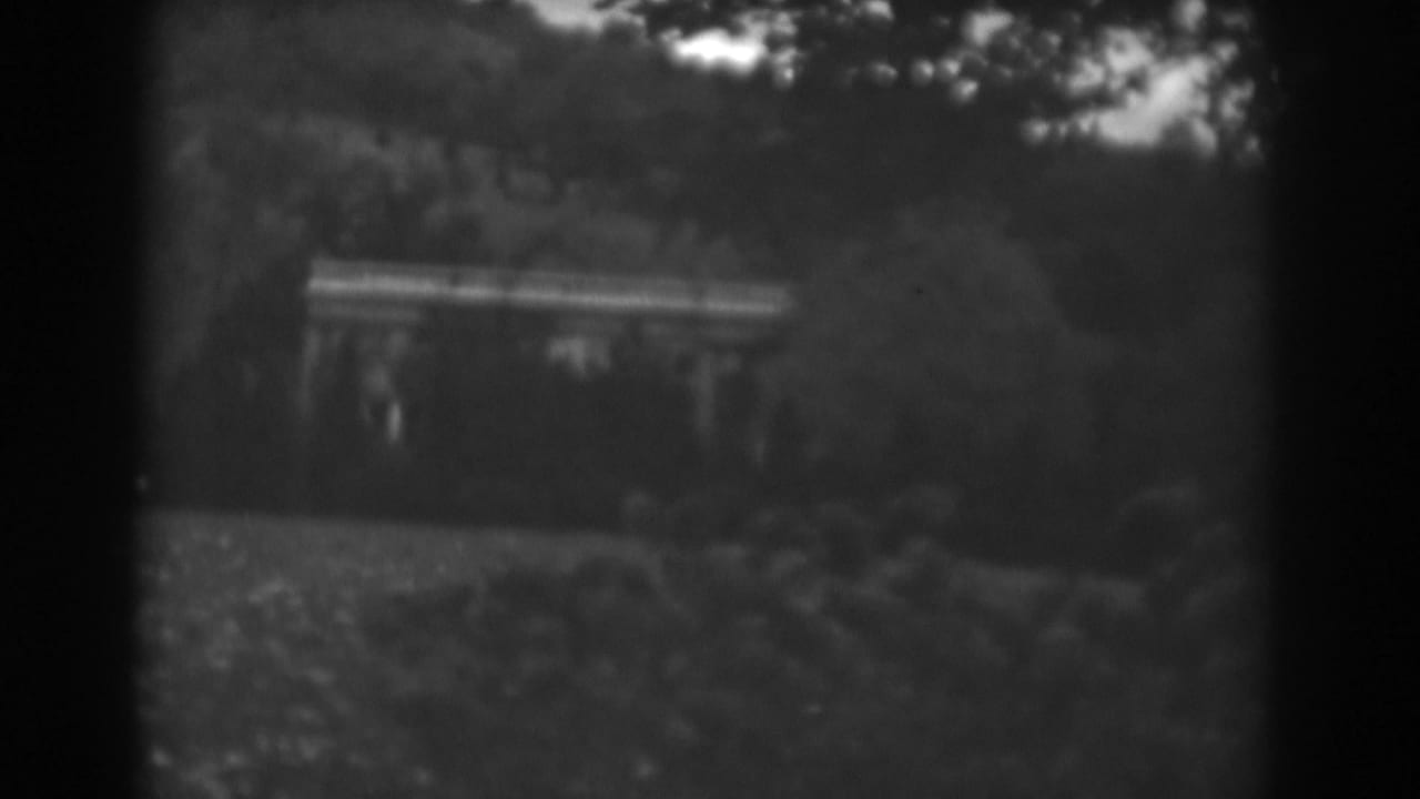 Soft 8mm view near Winchester, Maryland, with a small flat-roofed structure set back behind grass, shrubs, and overhanging trees.