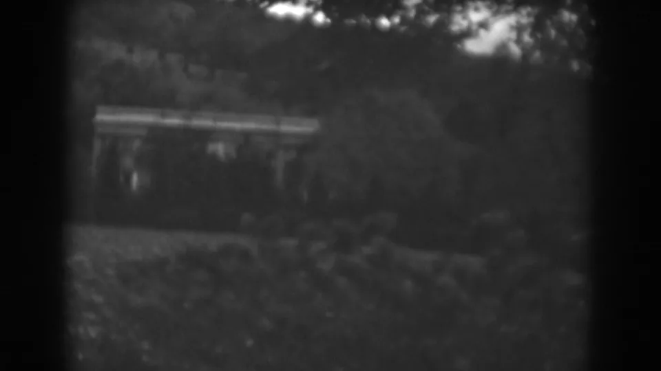 1938 rural Maryland frame showing a weathered structure partly hidden by brush, with grass in front and a wooded slope behind.