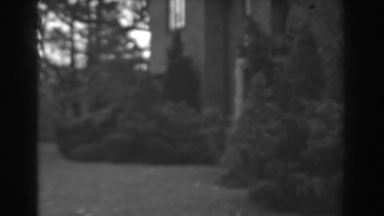 Soft black-and-white view of a large house partly hidden by evergreens and trees.