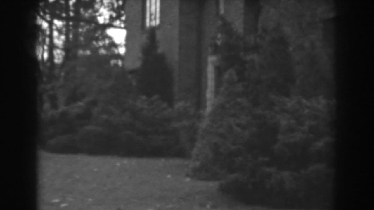 Large house exterior with shrubs, trees, lawn, and dark vertical framing in the foreground.