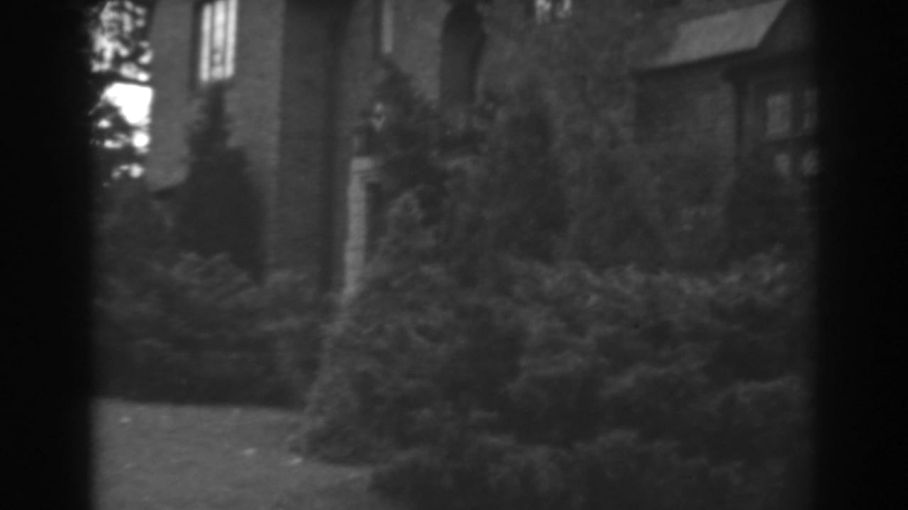 Brick house partly obscured by shrubs and trees, with lawn and dark film edges.