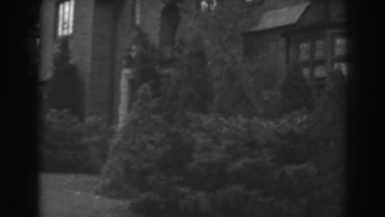 Shrubs and trees in front of a brick house with windows and a small roof detail.
