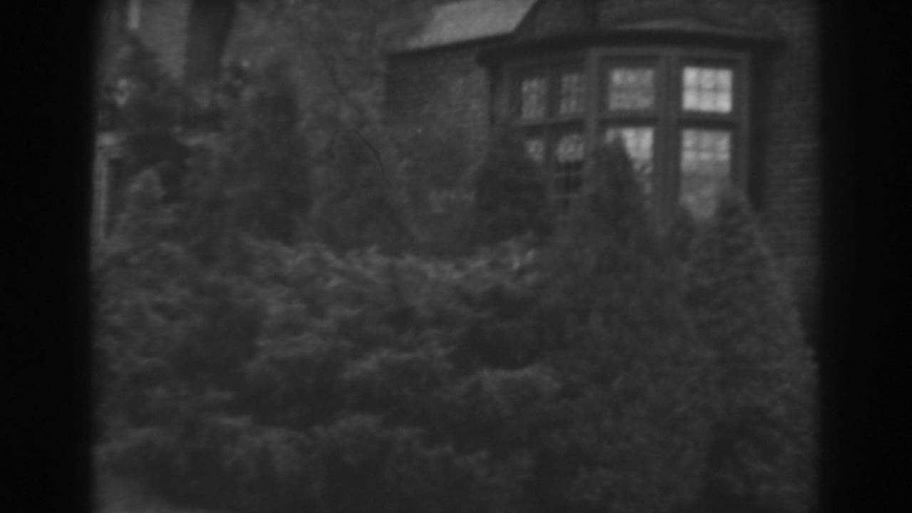 Brick house bay window partly hidden by shrubs in soft 8mm footage.