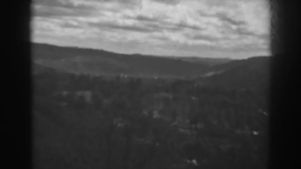 Final black-and-white frame of the mountain valley view near Winchester, Maryland, with dark foreground trees and clouded sky.