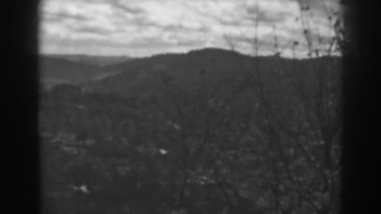 Blurred hillside landscape with bare trees and a cloudy sky behind window framing.