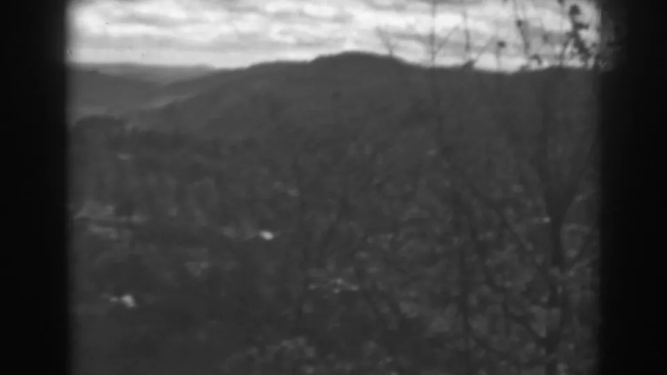 Soft 1938 home-movie frame of a wooded valley and low hills, viewed through dark mullions with bare branches in front.