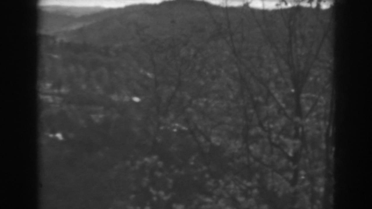 Soft black-and-white view of distant hills and bare or windblown trees.