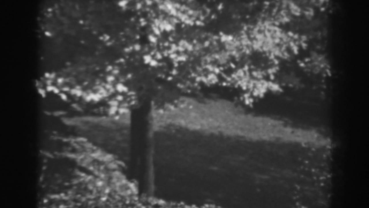 Black-and-white 8mm frame shows a leafy tree on a hillside in the Winchester, Maryland landscape.