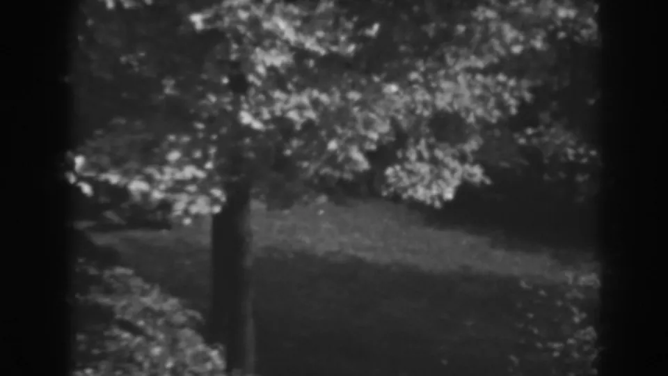 A 1938 home-movie frame shows blurred foliage and tree trunks on a sloped Maryland hillside.