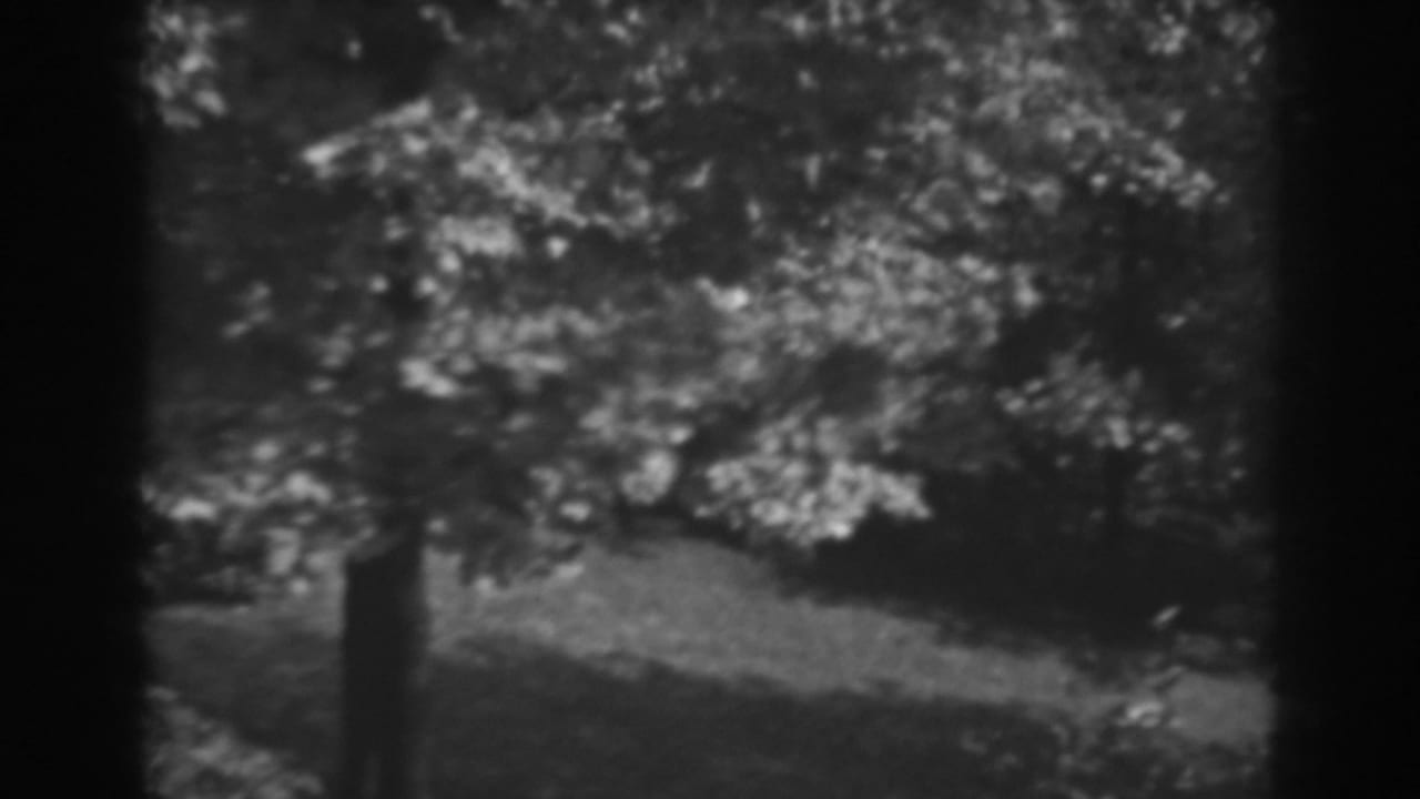 Black-and-white 1938 home-movie view of a leafy tree and shaded lawn in Winchester, Maryland.