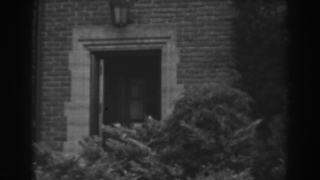 Brick house doorway partly hidden by shrubs in soft black-and-white film.