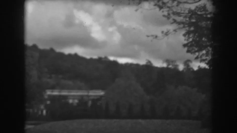 A late view of the wooded hillside shows heavy clouds, dark tree branches, a sloped foreground, and soft 8mm framing.