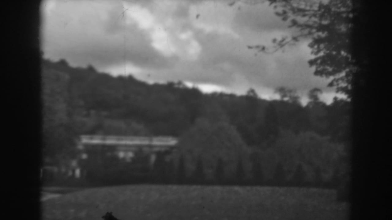 Soft black-and-white view of trees, hillside, cloudy sky, and a distant structure.