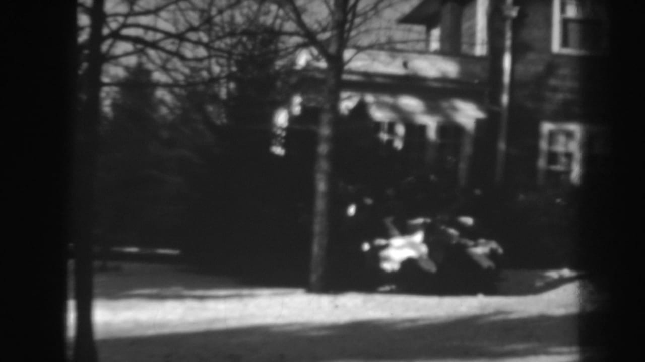 Large brick house partly obscured by trees, with a parked car near the curb.