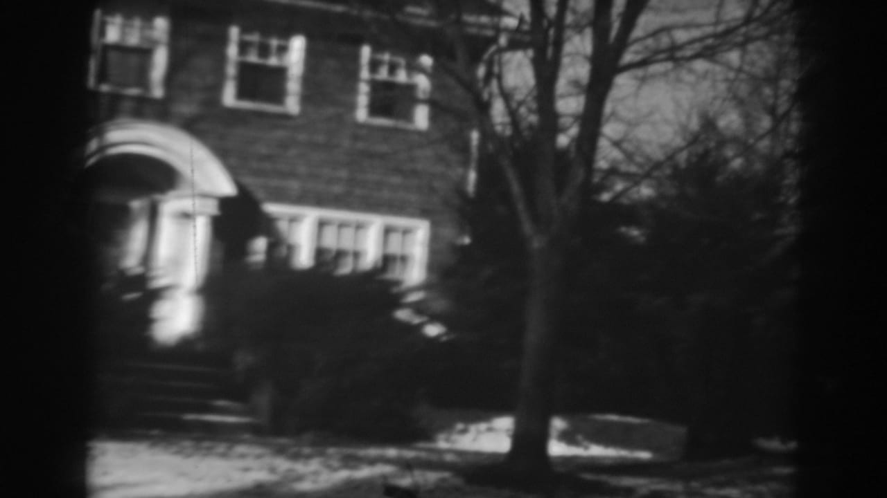Brick house facade partly framed by a tree trunk, with windows, shrubs, and snow below.