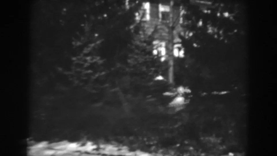The 1938 Winchester, Maryland footage shows a distant building behind dark evergreen foliage and bright ground patches in soft focus.