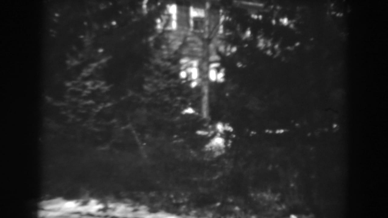 Dark house exterior seen through trees and shrubs.