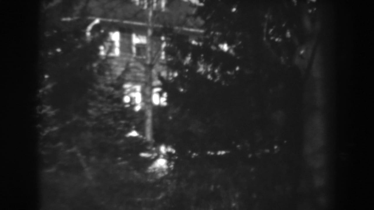 Large house with lit windows behind dark trees.