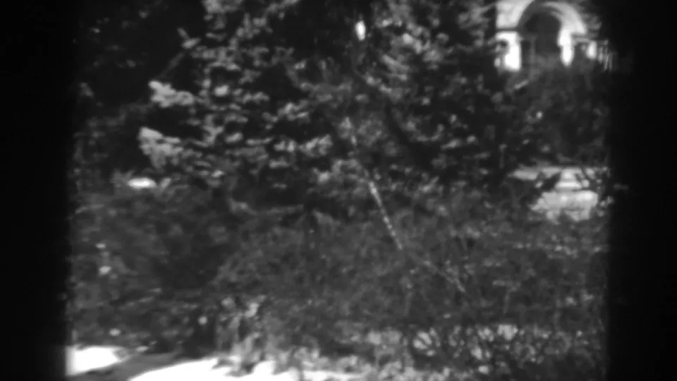 Black-and-white 8mm frame showing winter evergreens and shrubs, with a bright arched structure partly seen through branches in Winchester, Maryland.