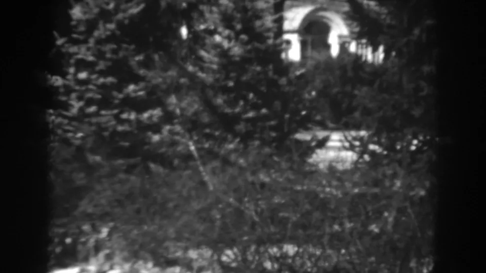 Winchester, Maryland home-movie frame with dense winter shrubs and evergreens in front of a bright arched architectural feature.