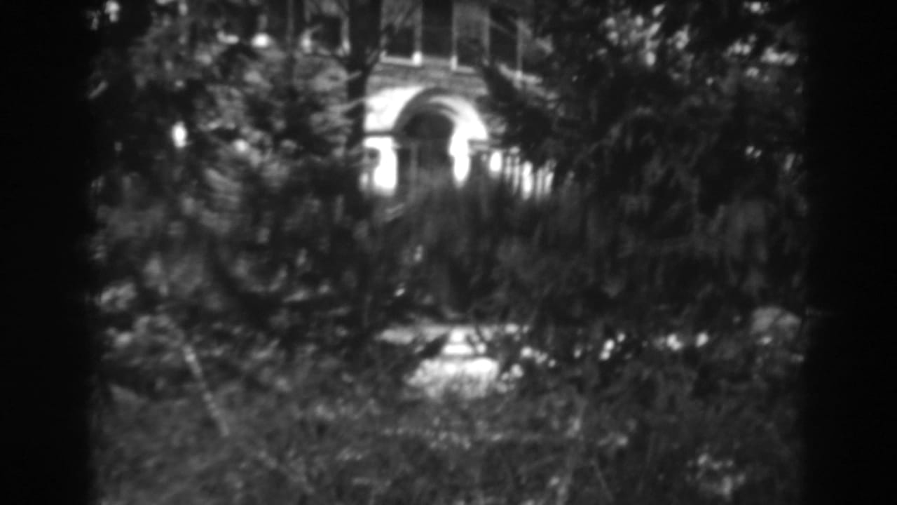 House entrance and upper windows partly obscured by dark trees and shrubs.
