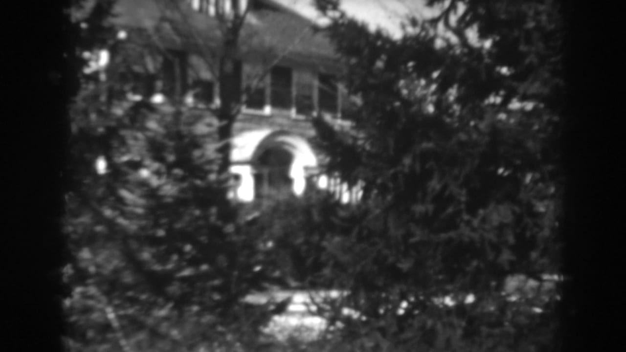 Tree branches frame a house with an arched entrance, windows, and roofline.