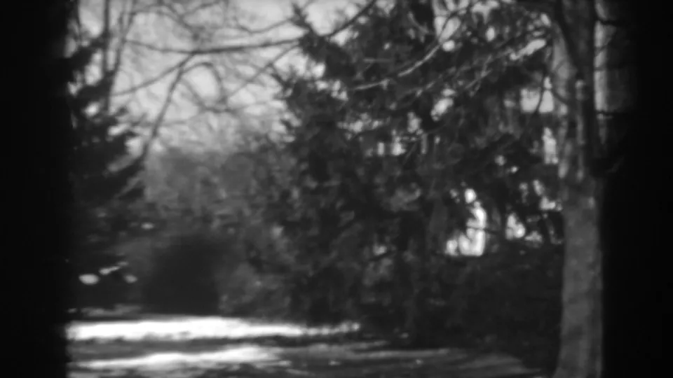 Black-and-white 8mm frame showing a wooded roadside in Winchester, Maryland, with evergreen branches and a bright sunlit area near the road.