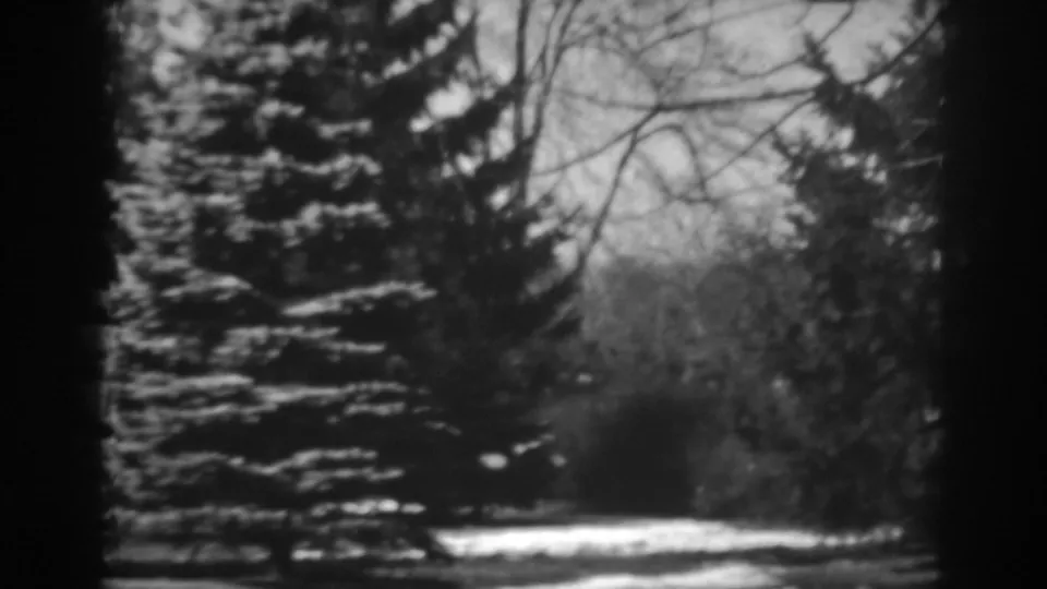 1938 home-movie frame from Winchester, Maryland showing a blurred snowy evergreen and winter trees.