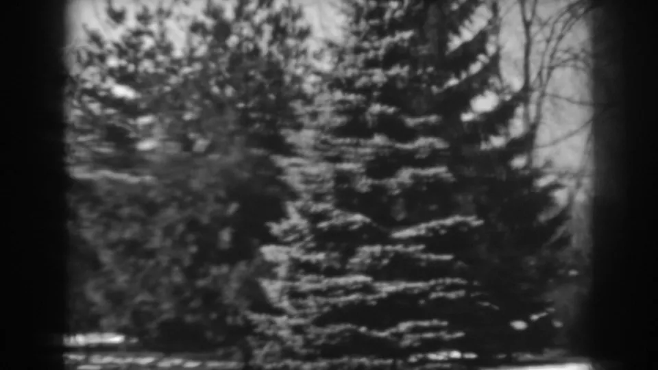 The 1938 8mm frame shows evergreens, shrubs, and light snow patches in a residential winter landscape.