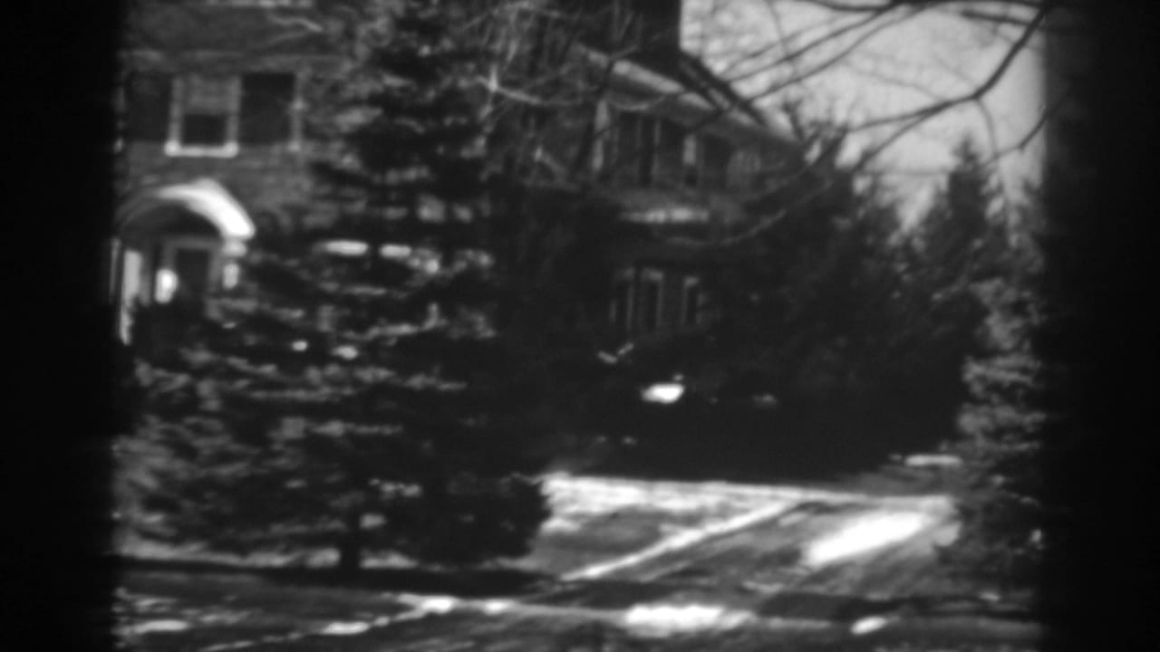 Brick house partly obscured by evergreen trees and bare winter branches.