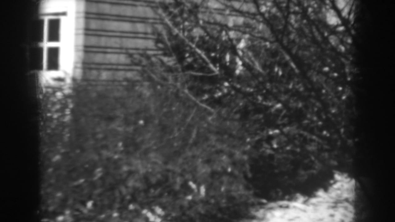 1938 Winchester, Maryland view of a house exterior partly obscured by shrubs and bare branches, with snow visible near the ground.