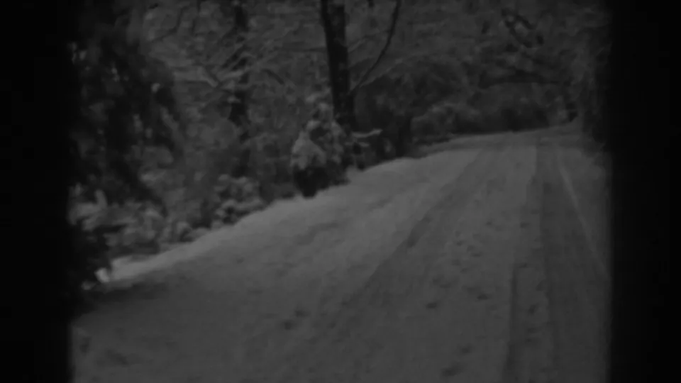 1938 Winchester, Maryland home-movie frame of a snow-covered dirt road receding between bare trees and brush.