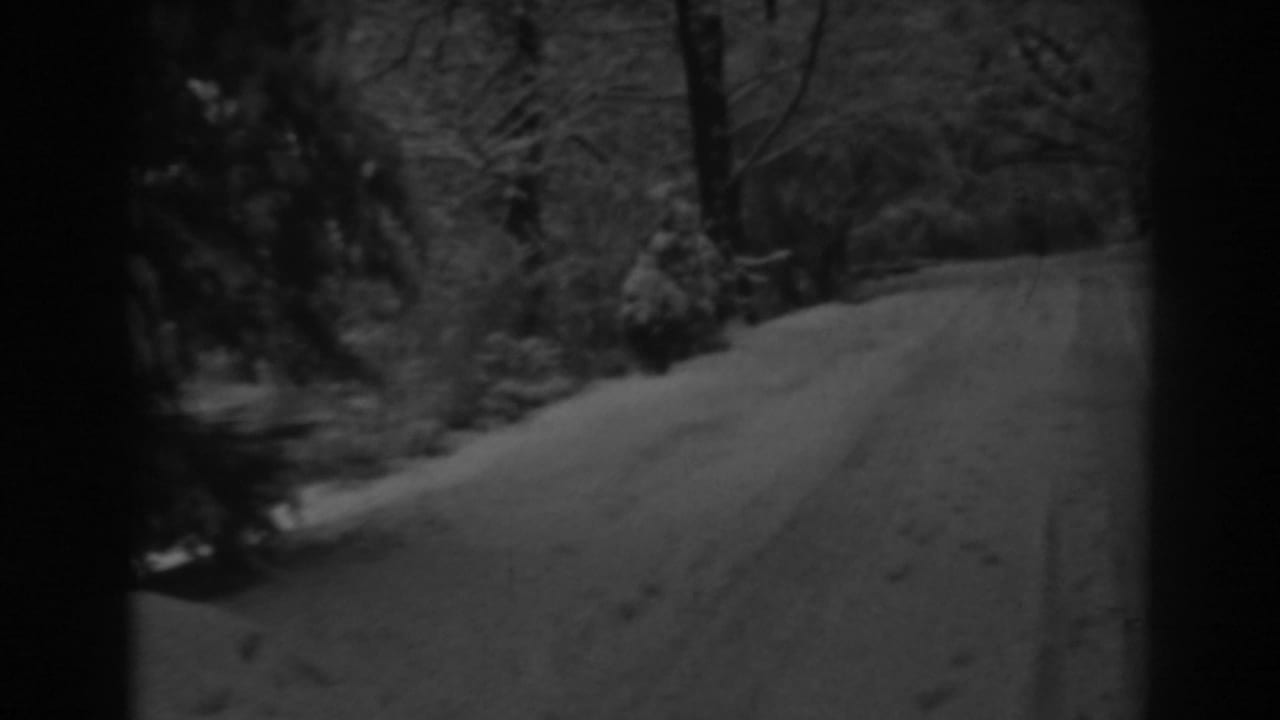1938 8mm view near Winchester, Maryland, of a snowy rural road bordered by bare trees and evergreens.