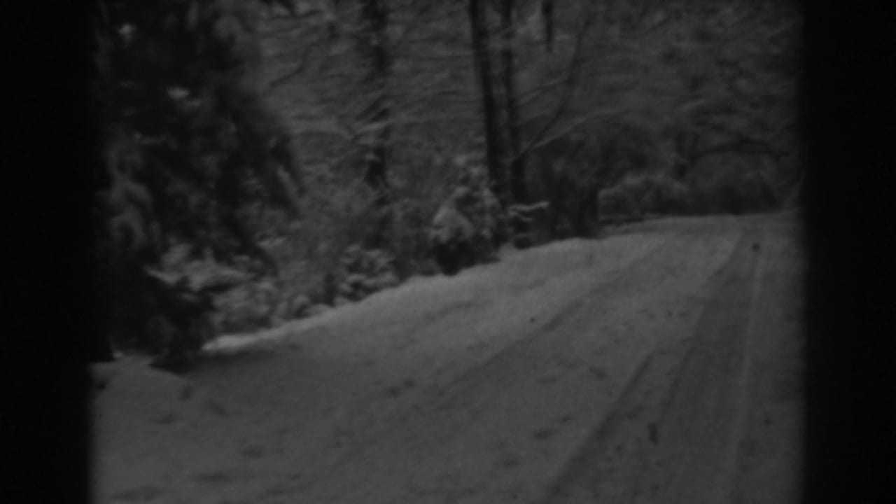 Snowy road ahead in a wooded area, framed by dark vertical film borders.