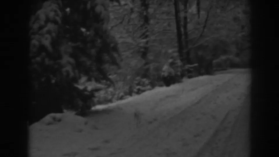 The 1938 home-movie frame looks toward a snow-covered roadside with dense winter trees and soft 8mm grain.