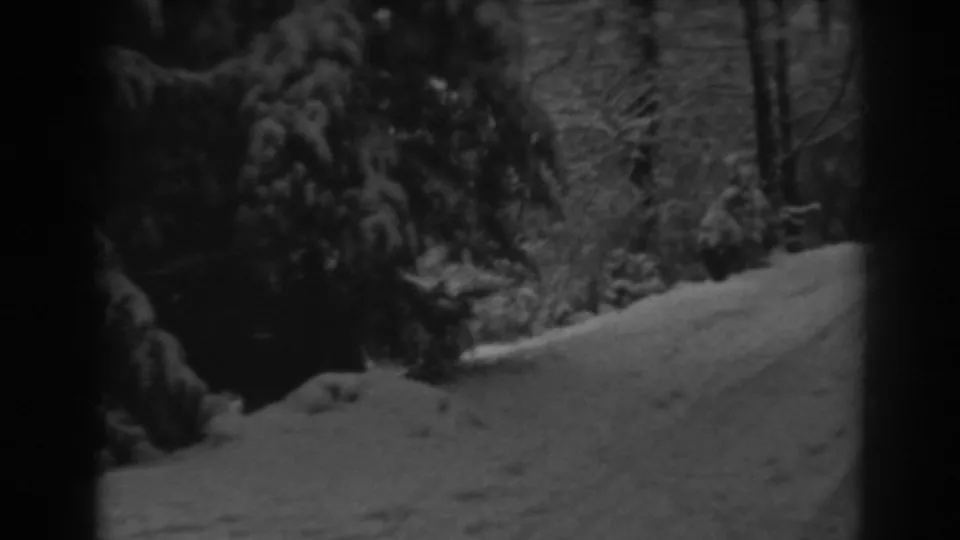 1938 8mm home-movie frame from Winchester, Maryland, showing a snowy forest path under heavy evergreen branches.