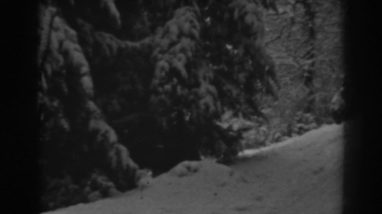 Winchester, Maryland winter woodland view on 8mm film, with snow piled along a narrow path and dark evergreens overhead.