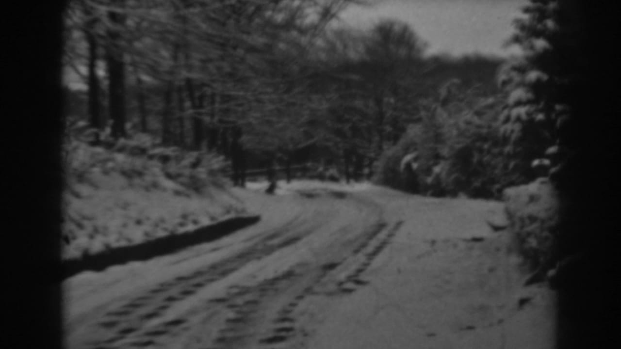 Snow-covered country road curving through bare winter trees.