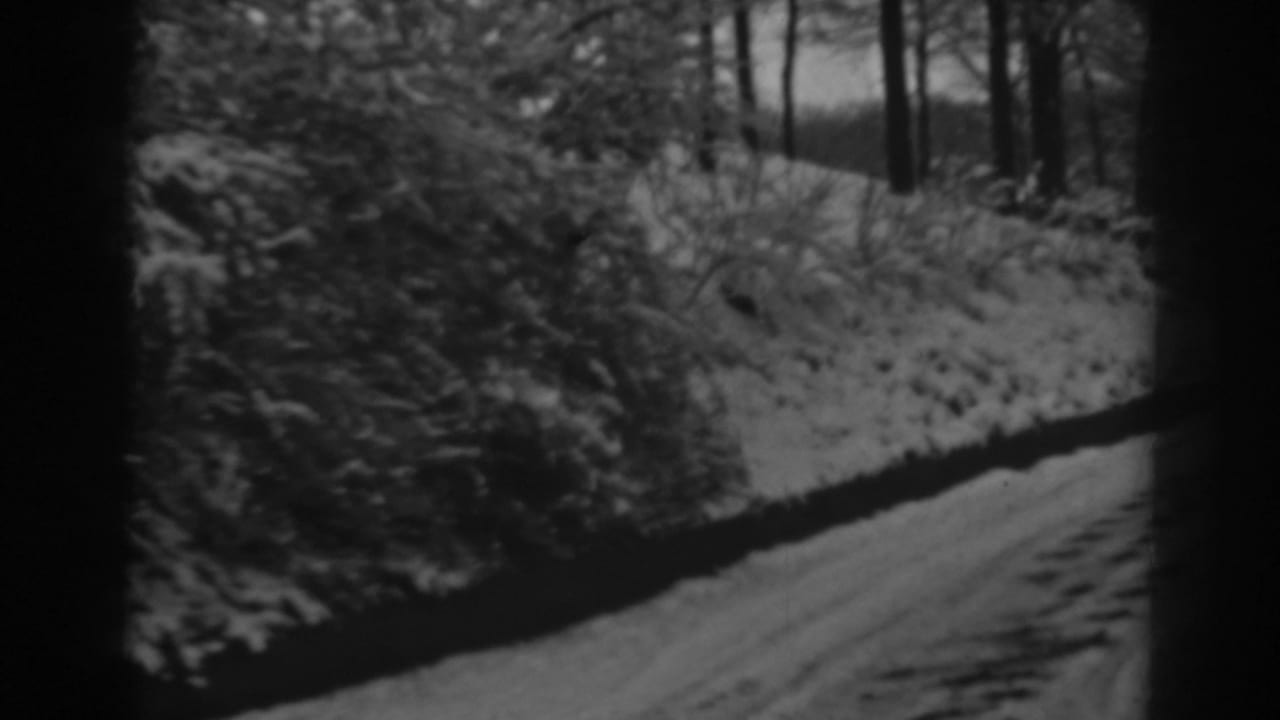Forward view along a snowy wooded road in the Winchester, Maryland 1938 home-movie footage.